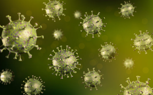 Can Microwaves Kill Bacteria? [Revealed]