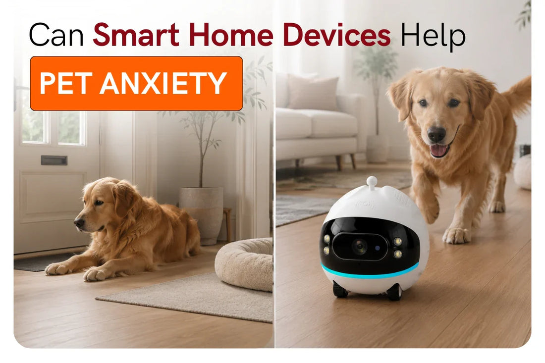 Can Smart Home Devices Help With Pet Anxiety? 9 Gadgets That Work