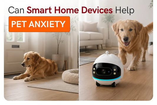 Can Smart Home Devices Help With Pet Anxiety? 9 Gadgets That Work