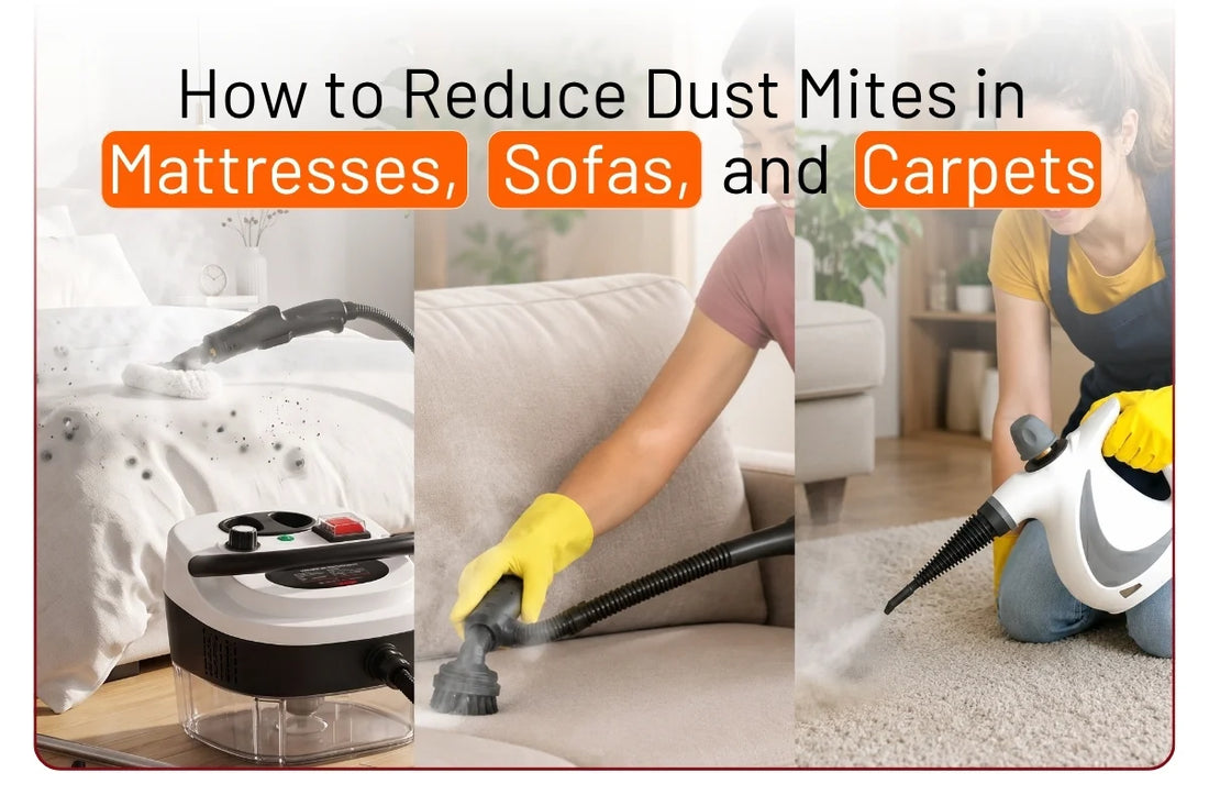 How to Reduce Dust Mites in Mattresses, Sofas, and Carpets