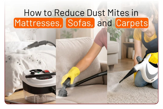 How to Reduce Dust Mites in Mattresses, Sofas, and Carpets