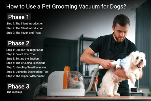 How to Use a Pet Grooming Vacuum for Dogs