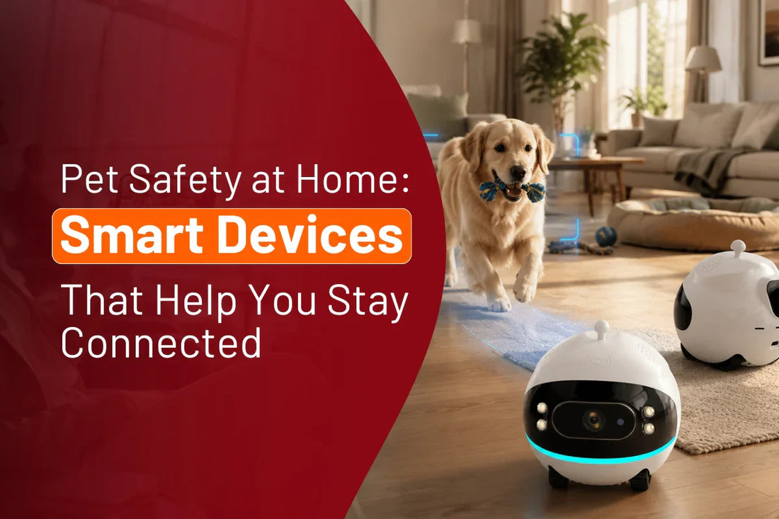 Pet Safety at Home