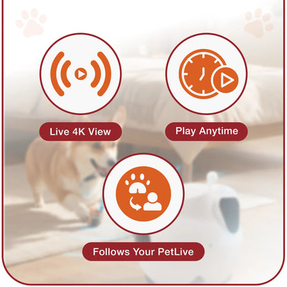 Interactive Pet Companion Robot | Smart Pet Camera