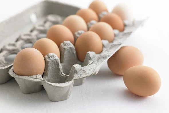 egg-cartons