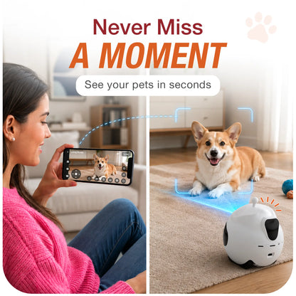 Interactive Pet Companion Robot | Smart Pet Camera