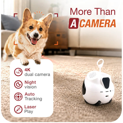 Interactive Pet Companion Robot | Smart Pet Camera
