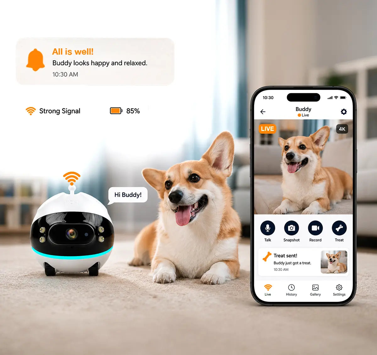 Live Pet Check-Ins
